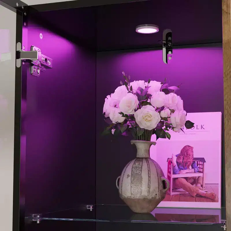 Vitrine bibliothèque éclairée par LED Meuble de rangement élégant en verre et bois avec porte, pour la décoration et les livres Meuble autoportant