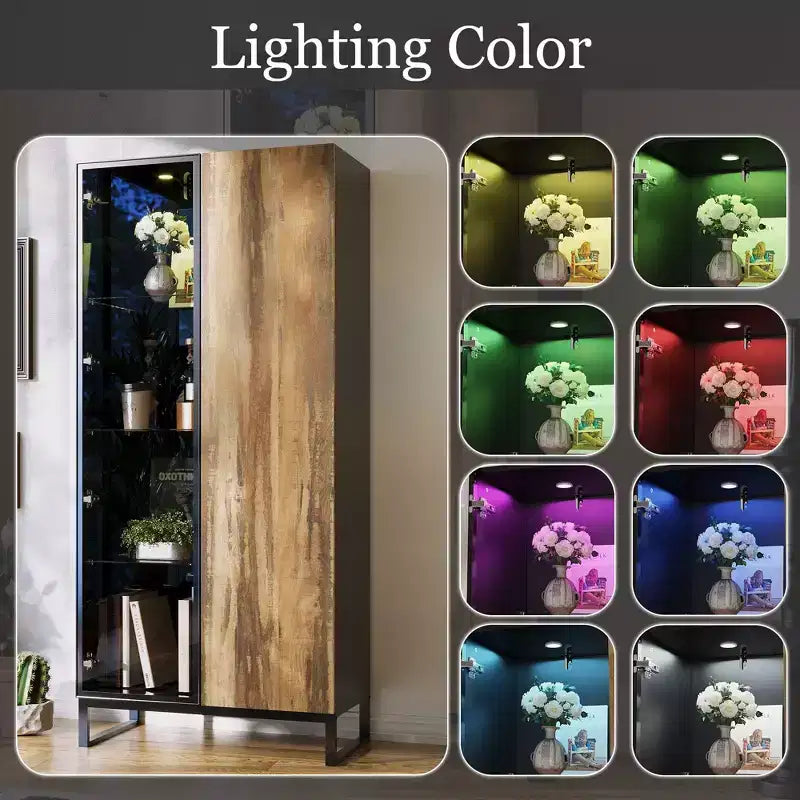Vitrine bibliothèque éclairée par LED Meuble de rangement élégant en verre et bois avec porte, pour la décoration et les livres Meuble autoportant