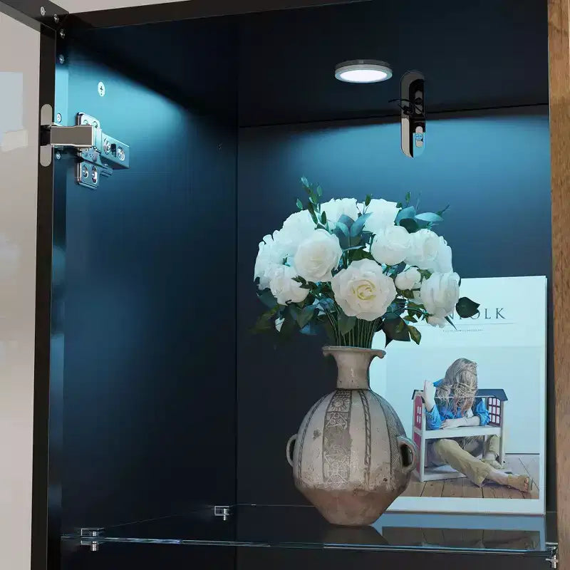Vitrine bibliothèque éclairée par LED Meuble de rangement élégant en verre et bois avec porte, pour la décoration et les livres Meuble autoportant