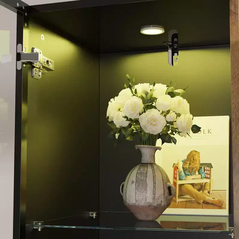 Vitrine bibliothèque éclairée par LED Meuble de rangement élégant en verre et bois avec porte, pour la décoration et les livres Meuble autoportant